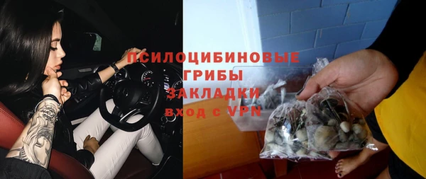 ГАЛЛЮЦИНОГЕННЫЕ ГРИБЫ Белоозёрский