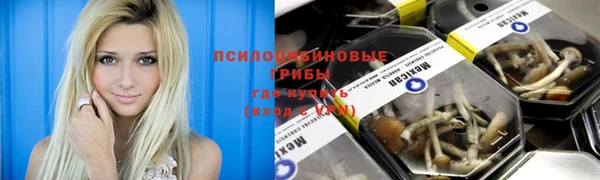 трава Балахна