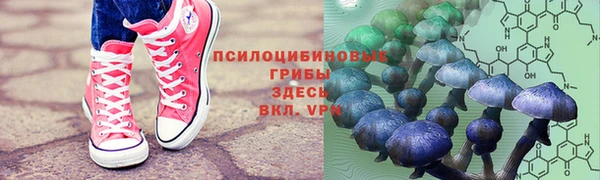 спиды Балабаново