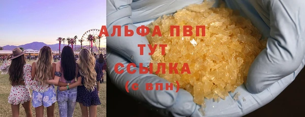 ГАЛЛЮЦИНОГЕННЫЕ ГРИБЫ Белокуриха